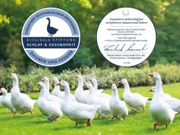 billerbeck Blog - Zertifizierte Daunen und Federn von Gänsen