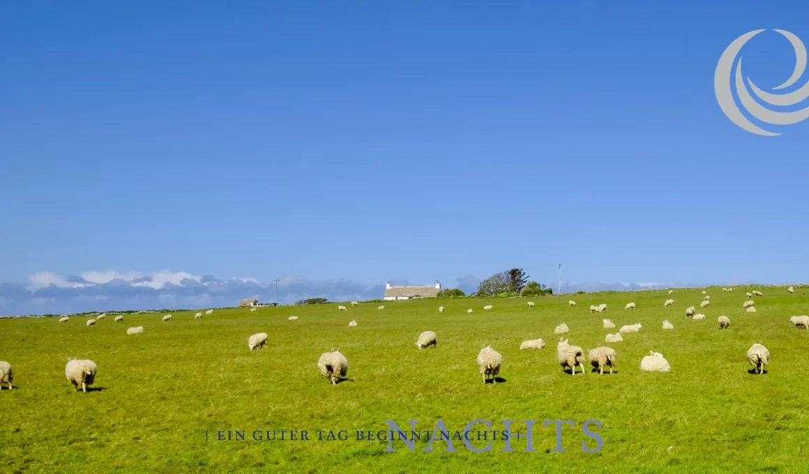 billerbeck Blog - Einschlafhilfe