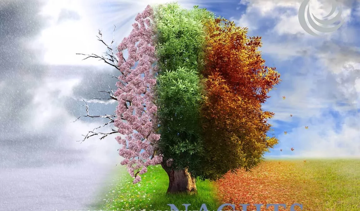 billerbeck Blog - Schlafhormon Serotonin Melatonin