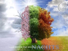 billerbeck Blog - Schlafhormon Serotonin Melatonin