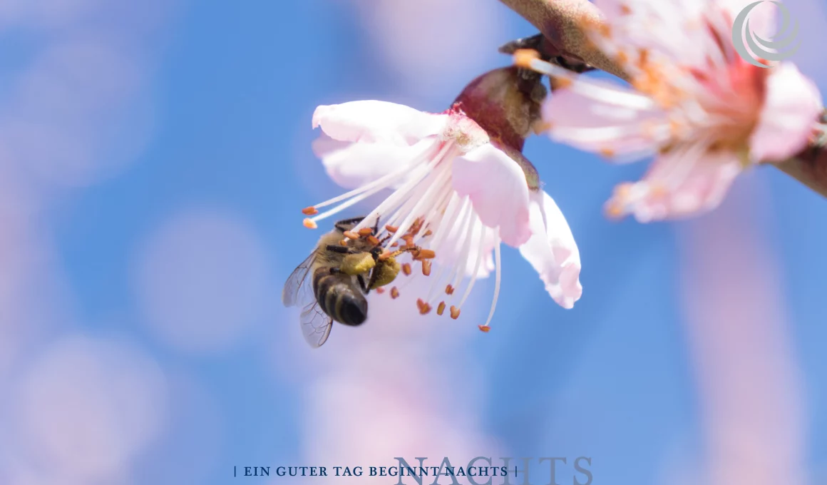 billerbeck Blog - Tipps gegen Frühjahrsmüdigkeit