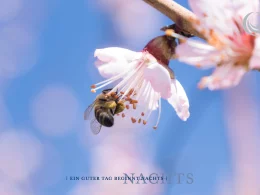 billerbeck Blog - Tipps gegen Frühjahrsmüdigkeit