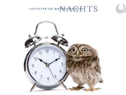 billerbeck Blog - Schlaftyp Eule oder Lerche