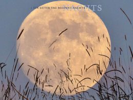 billerbeck Blog Schlaf Supermond