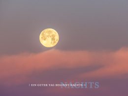billerbeck Schlaf-Erdbeermond am 11.06.2025