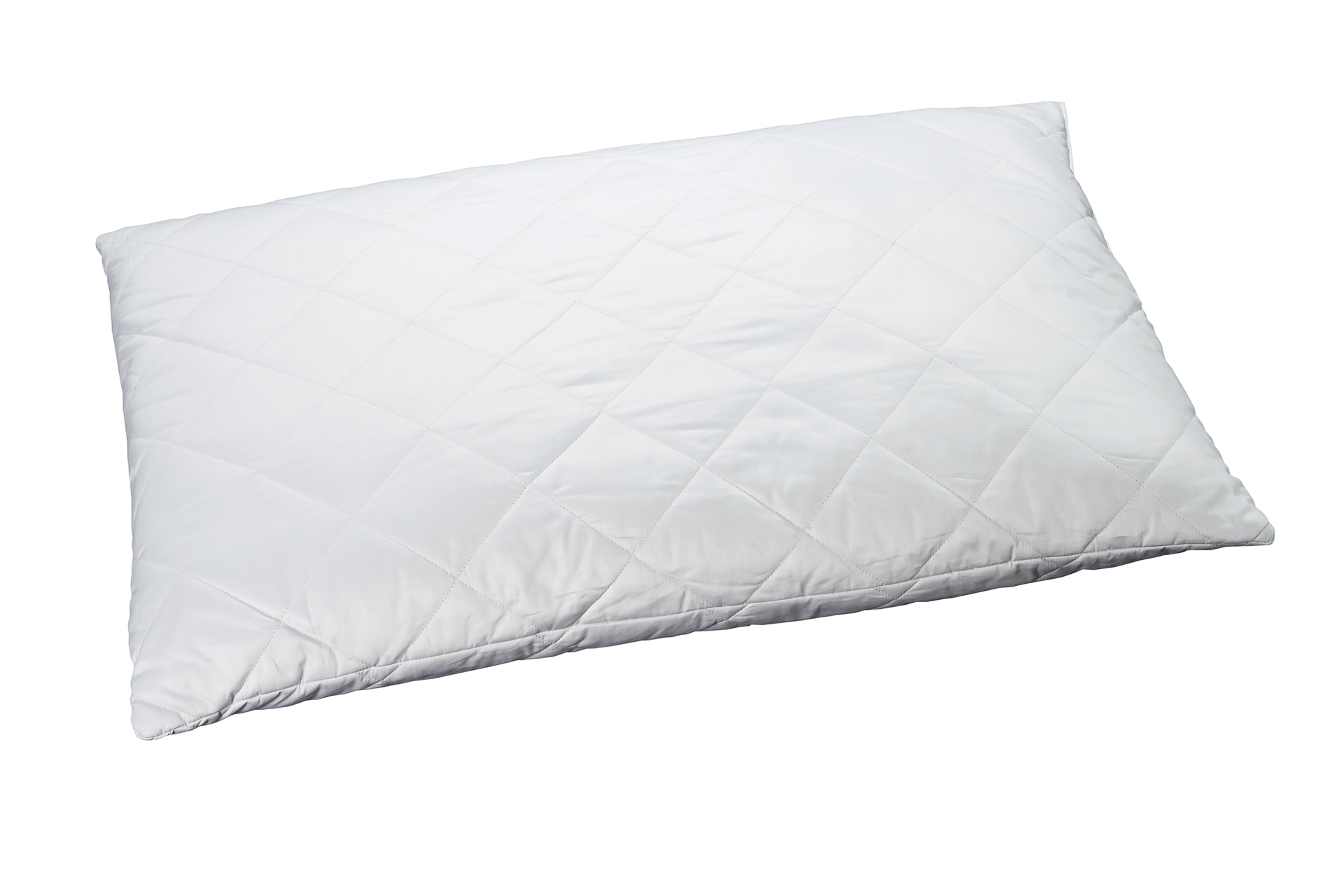 billerbeck-edition-oreiller-naturel-seta_65x100