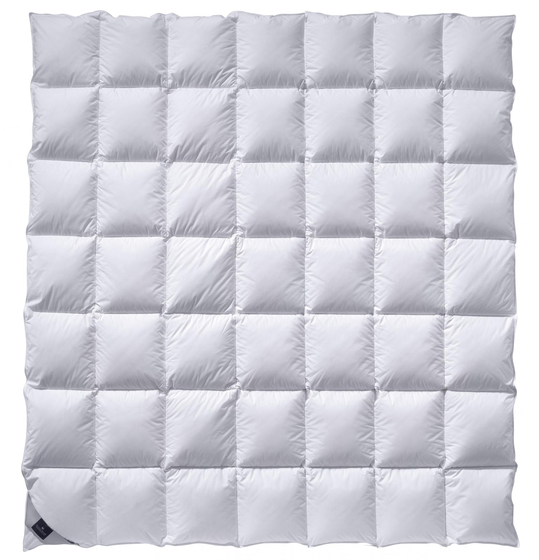 billerbeck Bettdecke Daunendecke Catalina in Größe 200x200 cm, Wärmestufe mittel, gesteppte Decke in Weiß