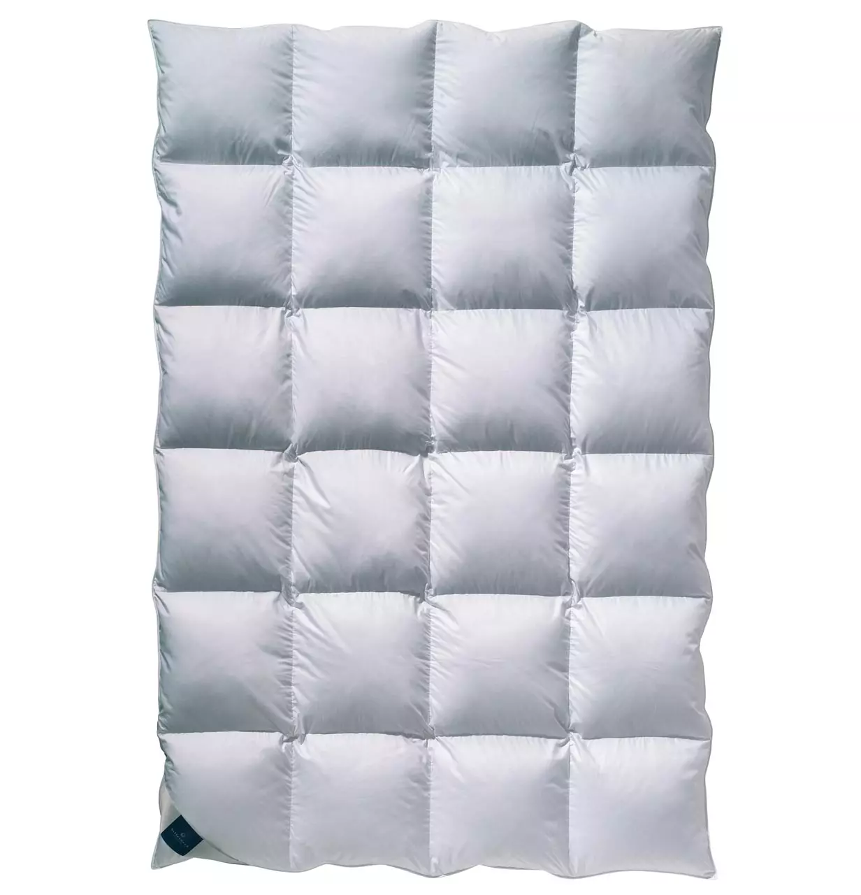 billerbeck Bettdecke Daunendecke Ambiente 135x200 cm