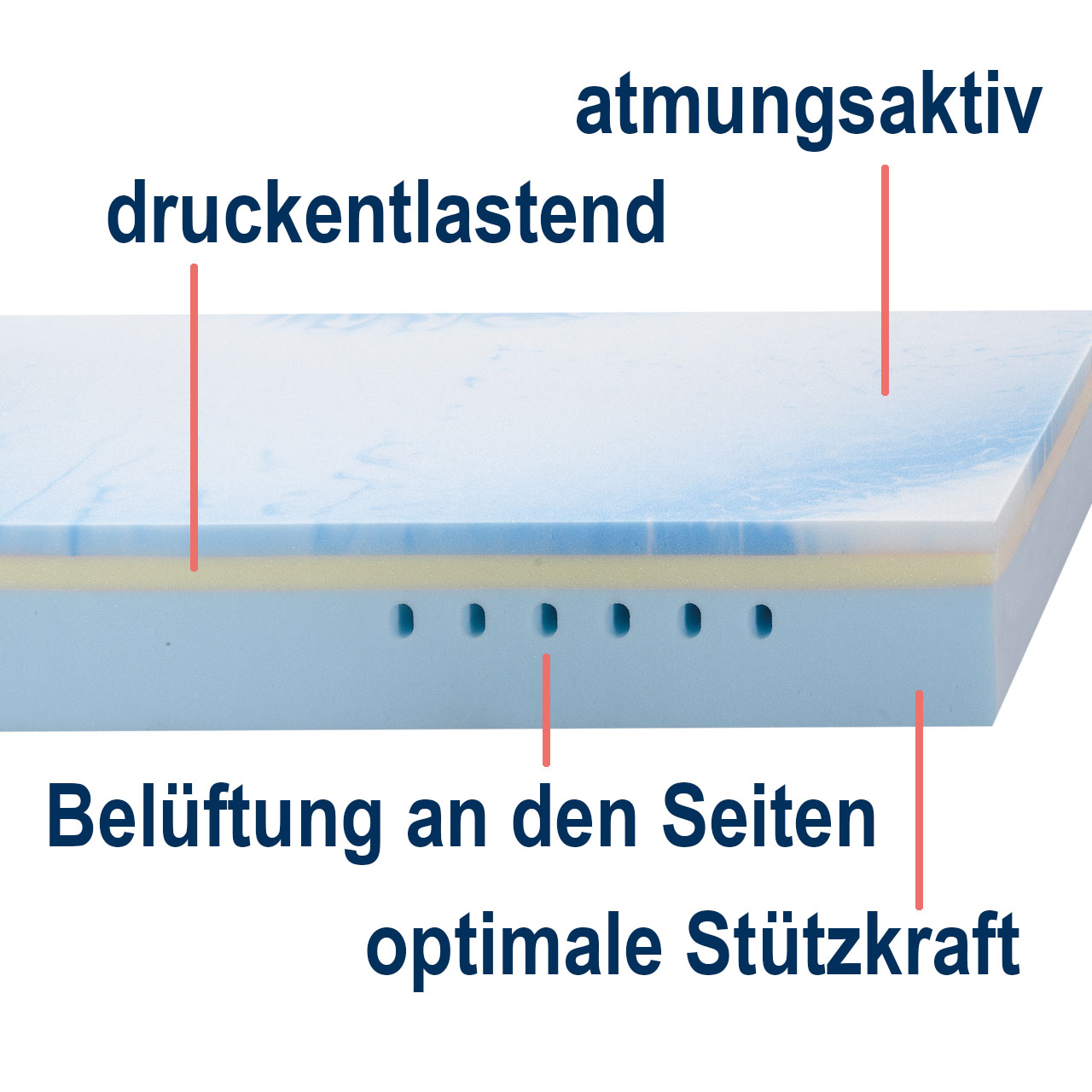 Memoryschaum-Matratze HERMINE® Alleskönner - 80 x 200 cm H2 22 cm
