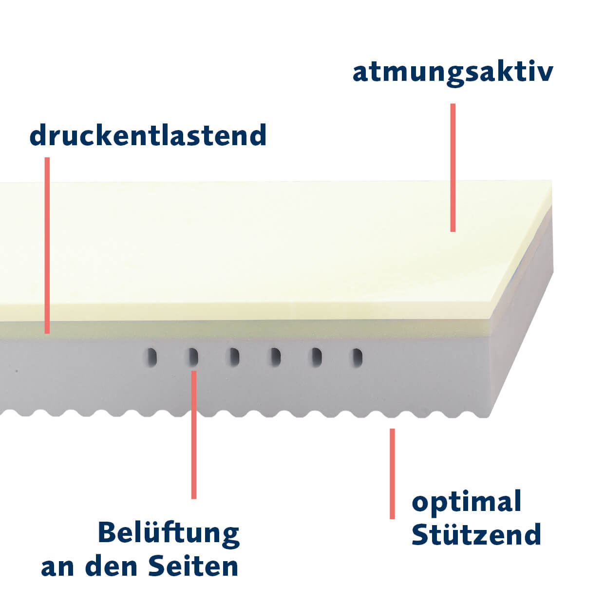 Structure of the HERMINE mattress from billerbeck, breathable side ventilation and point-elastic lying surface
