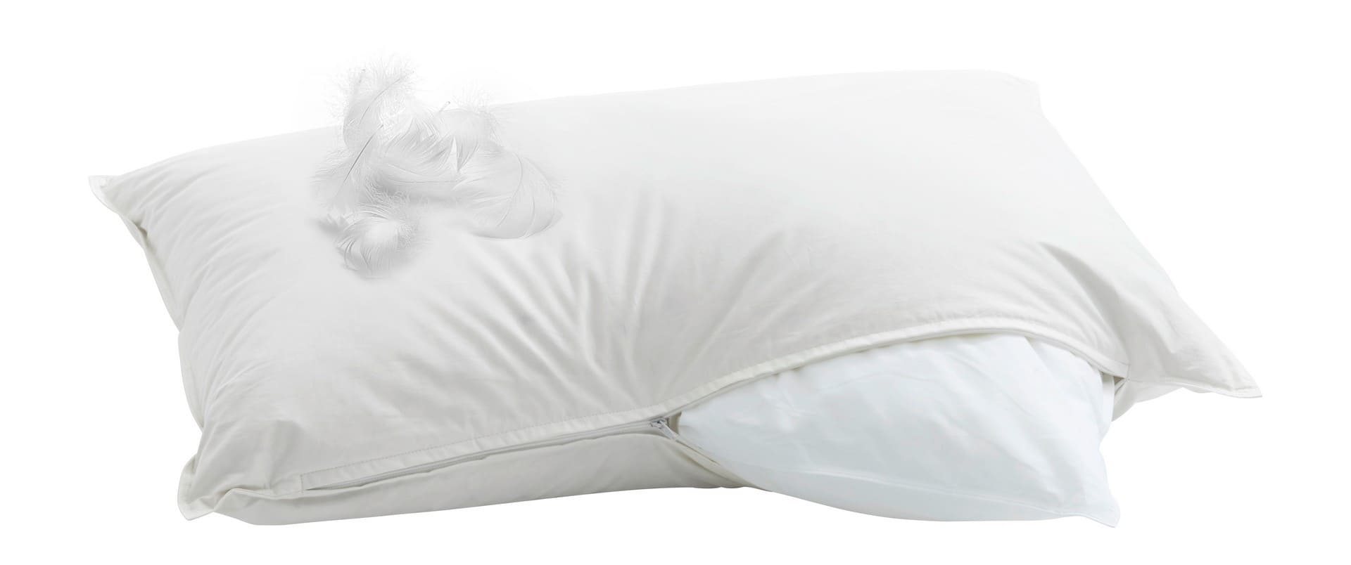 billerbeck-kissen-daunenkissen-casa-piuma_rechteckig_offen_inhalt