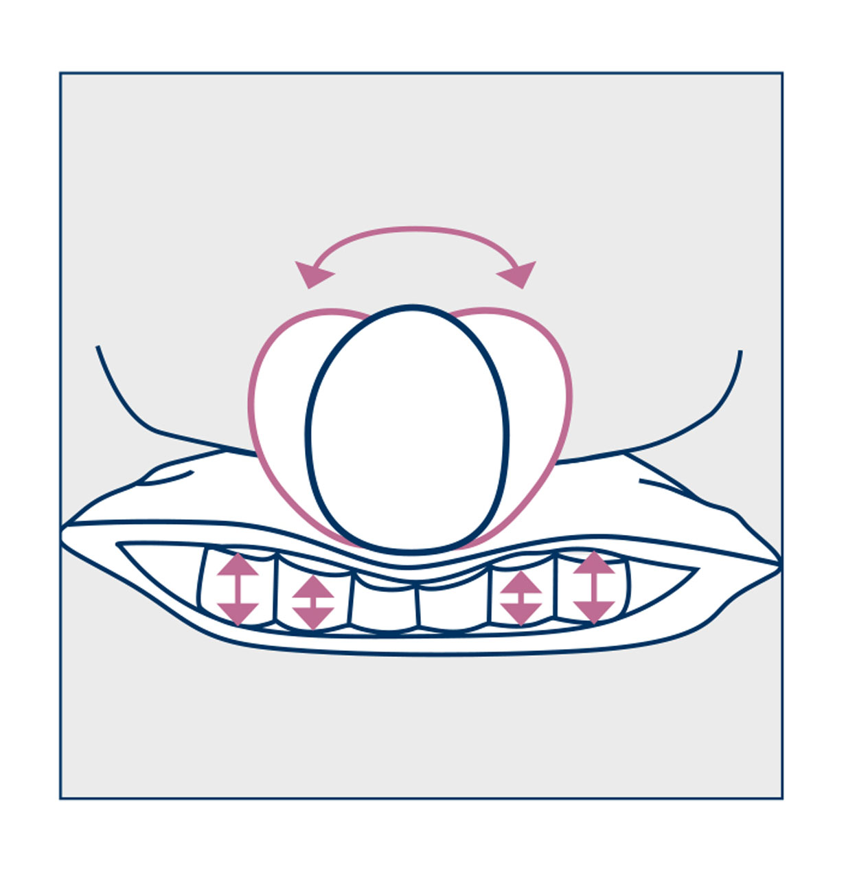 Schematic representation of the compression of the cylinders in the core of the Rondo neck support pillow from billerbeck during movement
