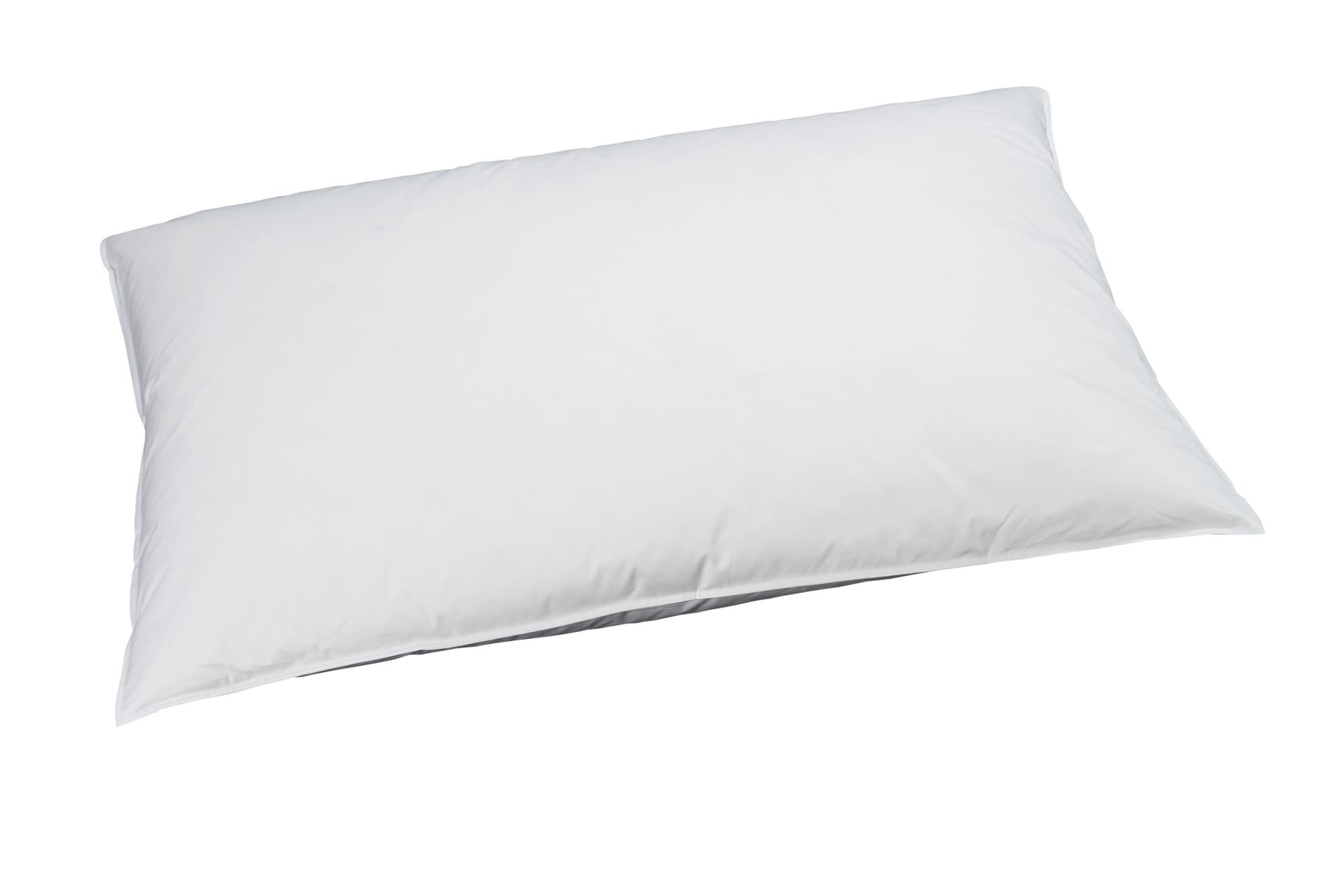 billerbeck-edition-oreiller-oreiller-en-duvet-reve-down-basic-65x100.jpg