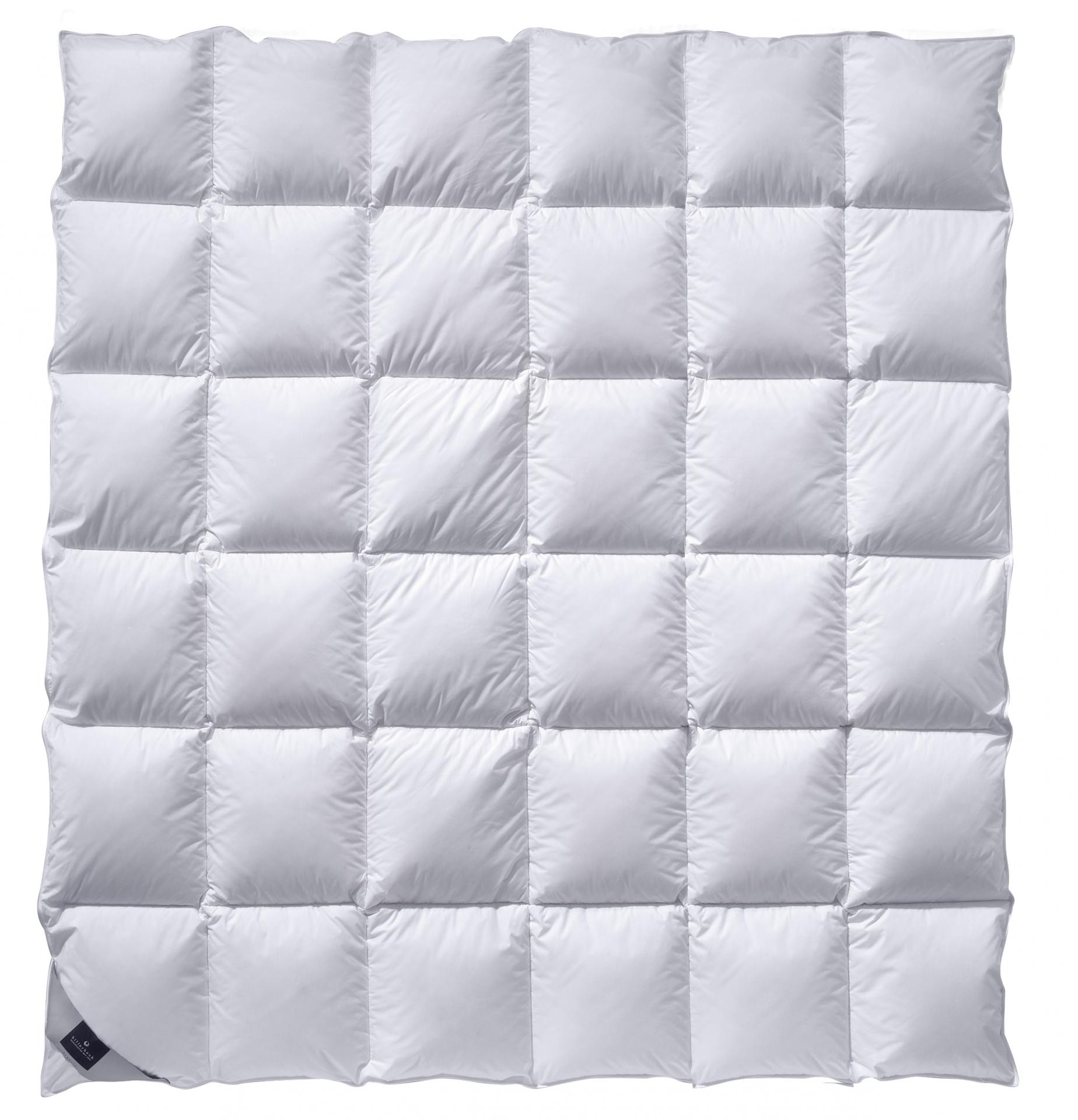billerbeck Bettdecke Daunendecke Catalina in Größe 200x200 cm, Wärmestufe warm, gesteppte Decke in Weiß