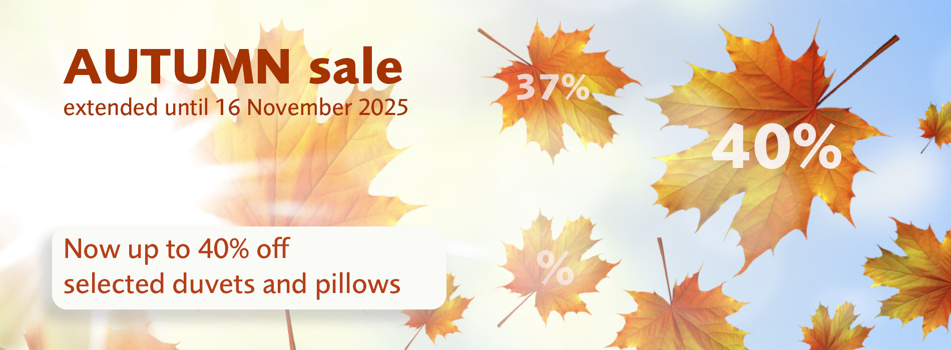 billerbeck_Herbst-Aktion_08.10.-16.11.2025_EN-Webshop_Aktion