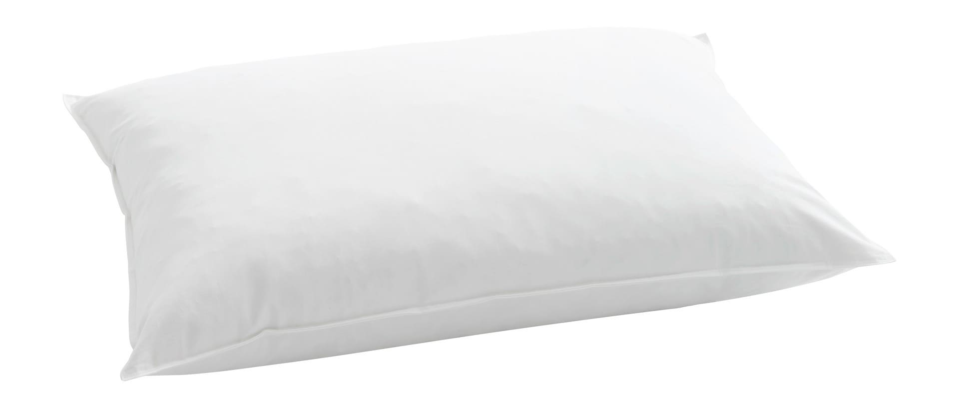 STANDARD 350 Kissen billerbeck-kissen-daunenkissen-standard-350_rechteckig