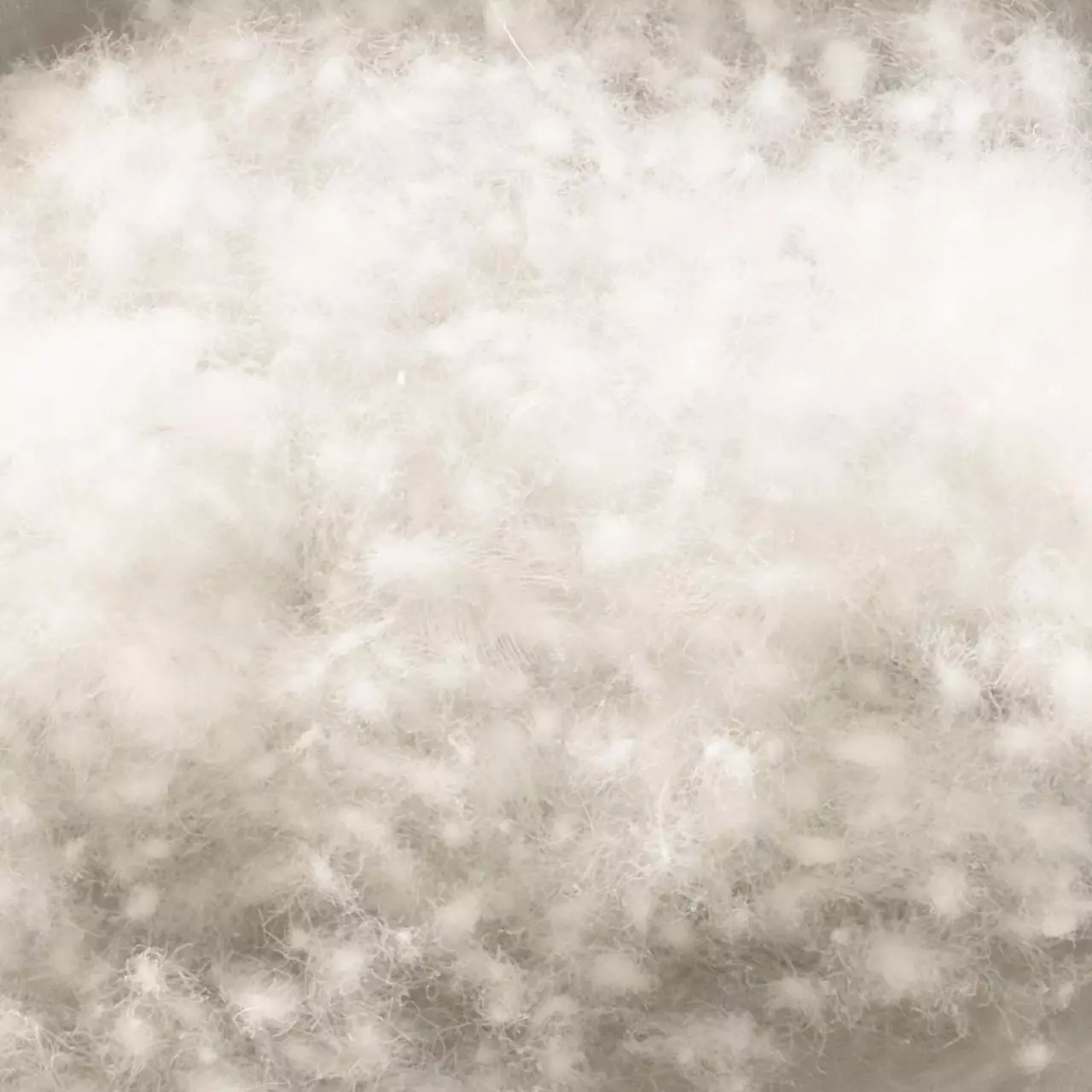 Nahaufnahme der Daunenfüllung des billerbeck Bauchschläferkissen Heinzi