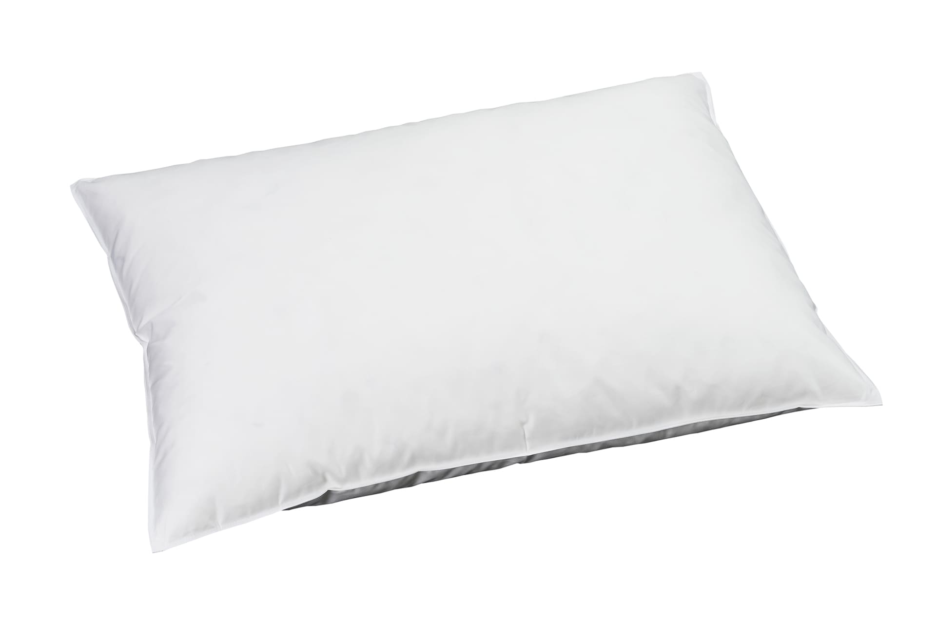 ORGANIC GOOSE SOFT billerbeck-kissen-daunenkissen-organic-goose-soft_50x70