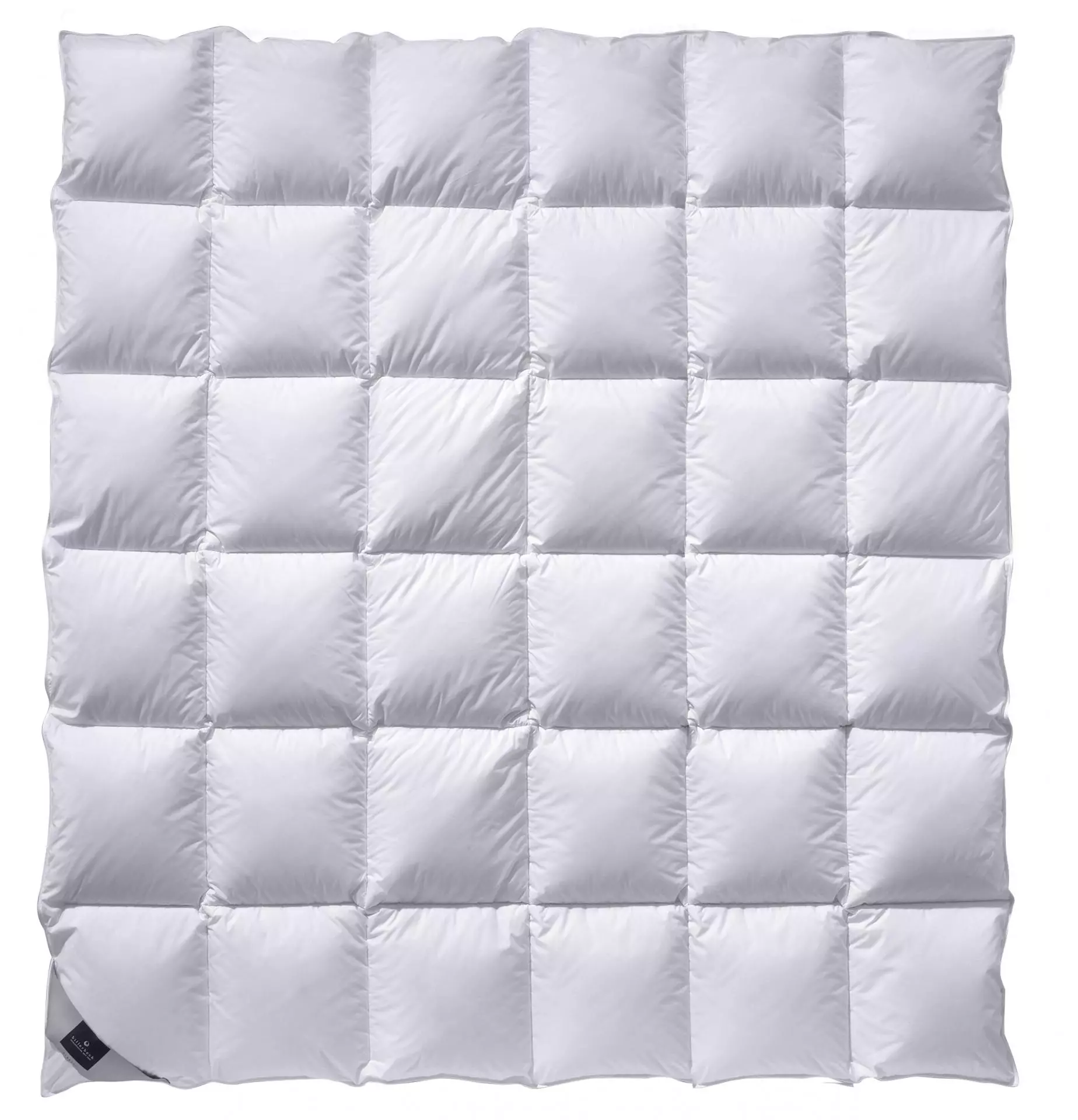 billerbeck Bettdecke Daunendecke Catalina in Größe 200x200 cm, Wärmestufe warm, gesteppte Decke in Weiß