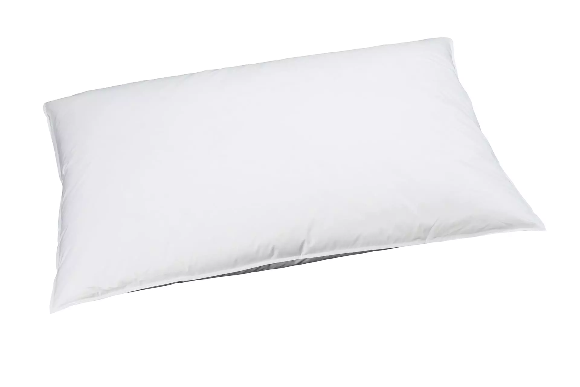 billerbeck-edition-oreiller-duvet-swiss-edition-90-soft_65x100