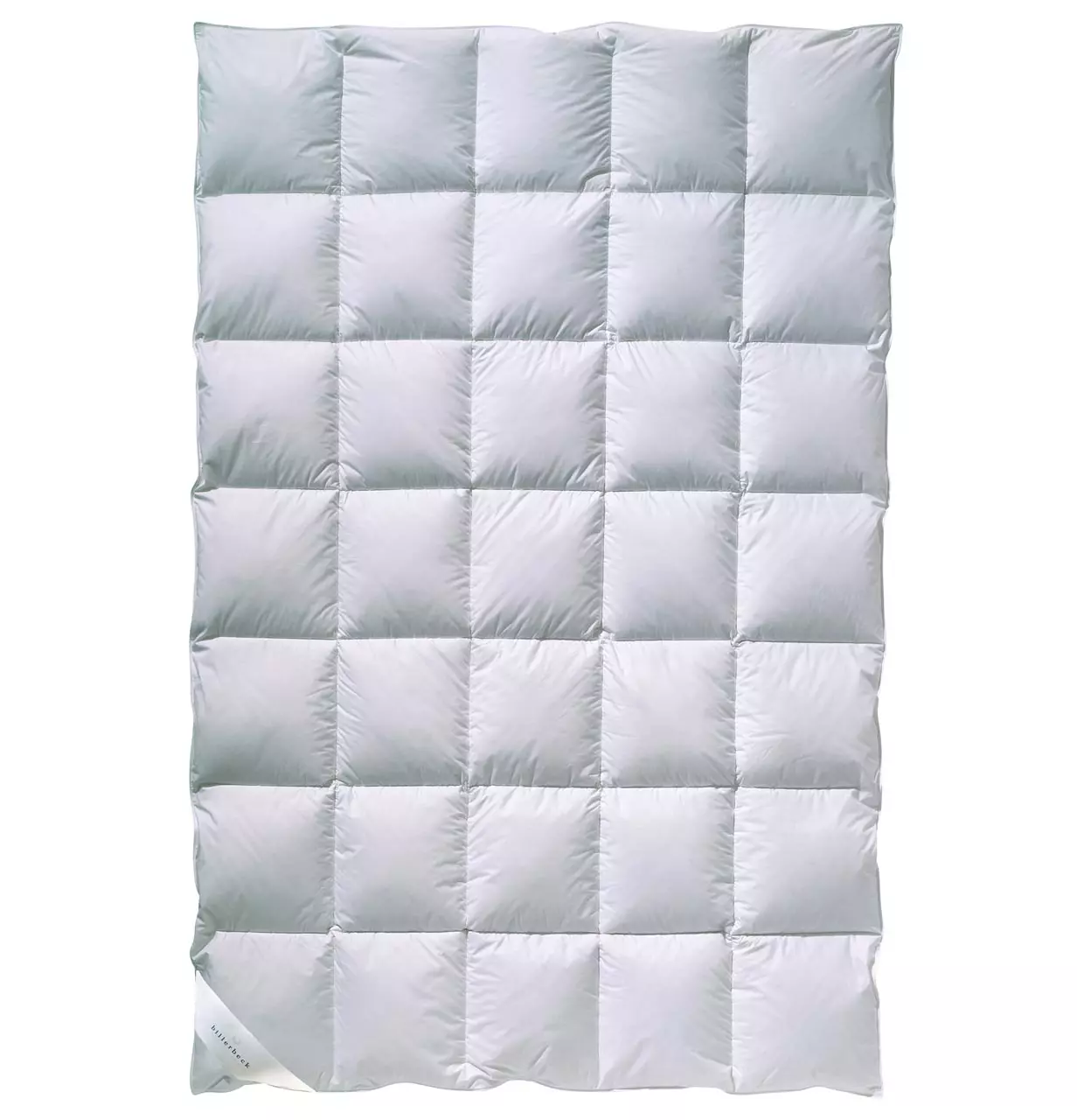 Daunendecke Evita 90 - 135 x 200 cm warm (Kassette II)