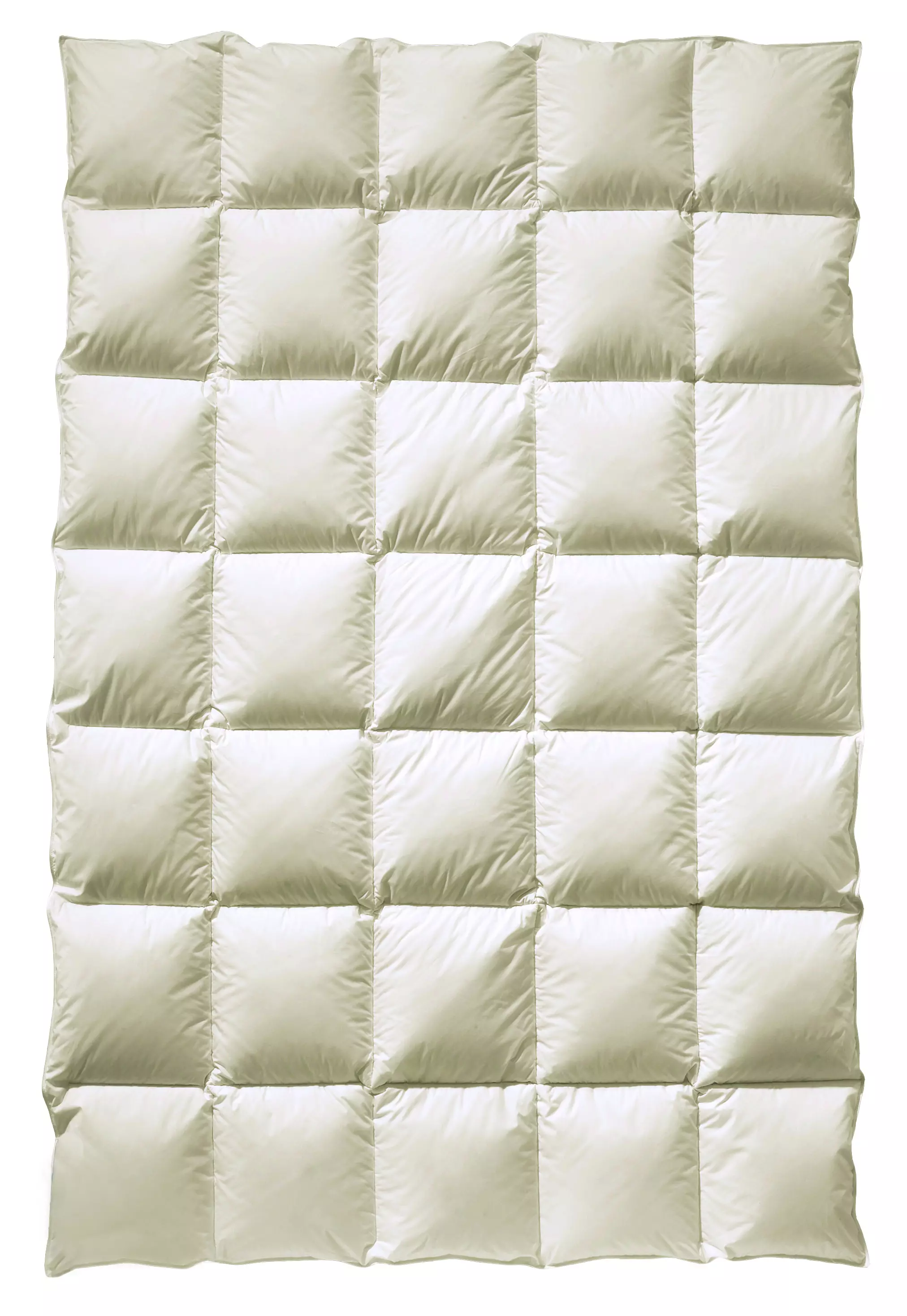 billerbeck Organic Daunendecke Auguste in Größe 135 x 200 cm, Wärmestufe mittel, gesteppte Decke in Beige