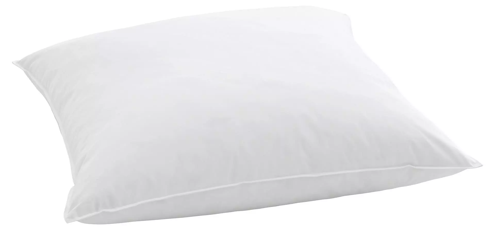 billerbeck-coussin-duvet-standard-250_quadratique