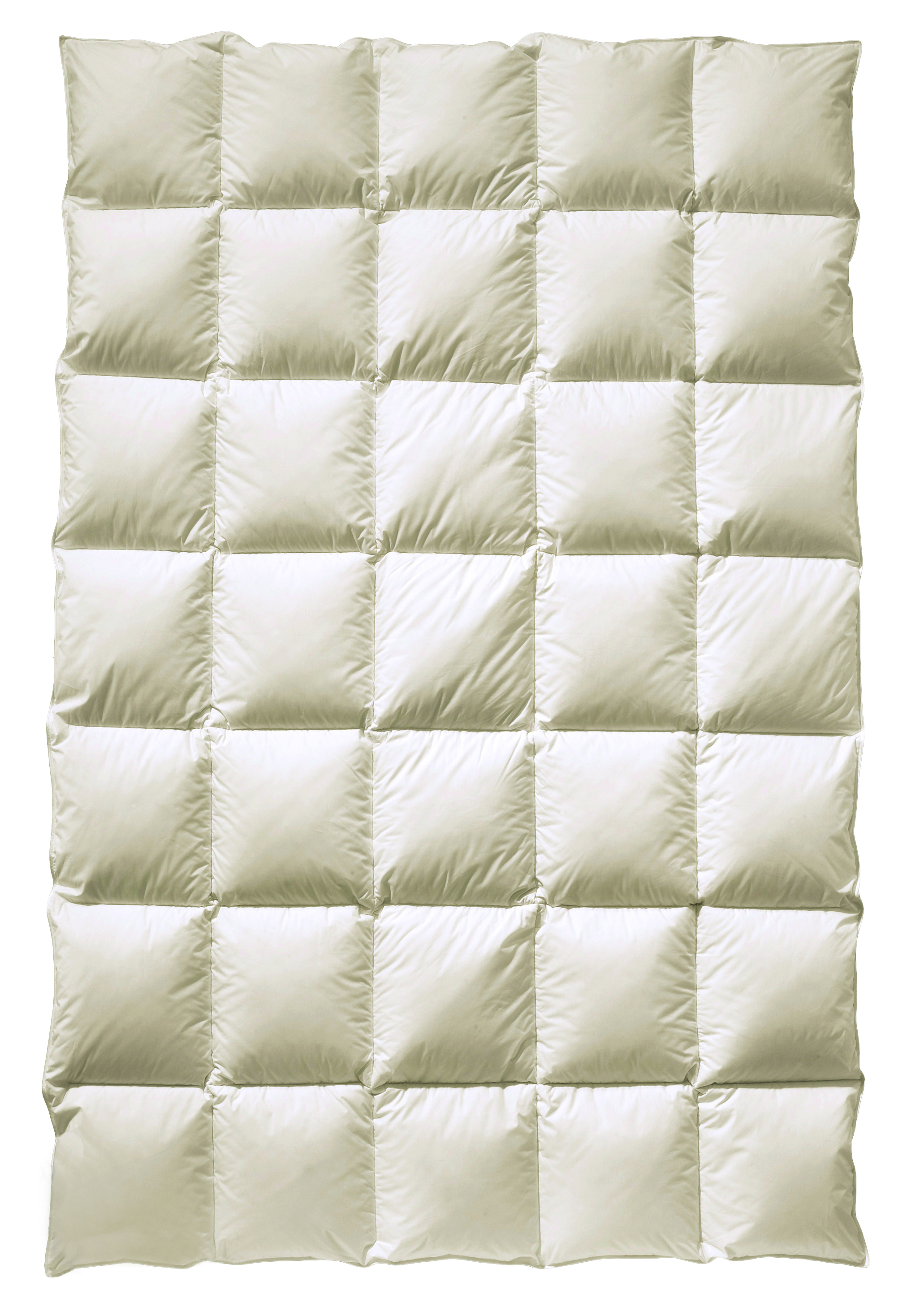 billerbeck organic down duvet Auguste in size 135x200 cm, warmth level medium, quilted comforter in beige