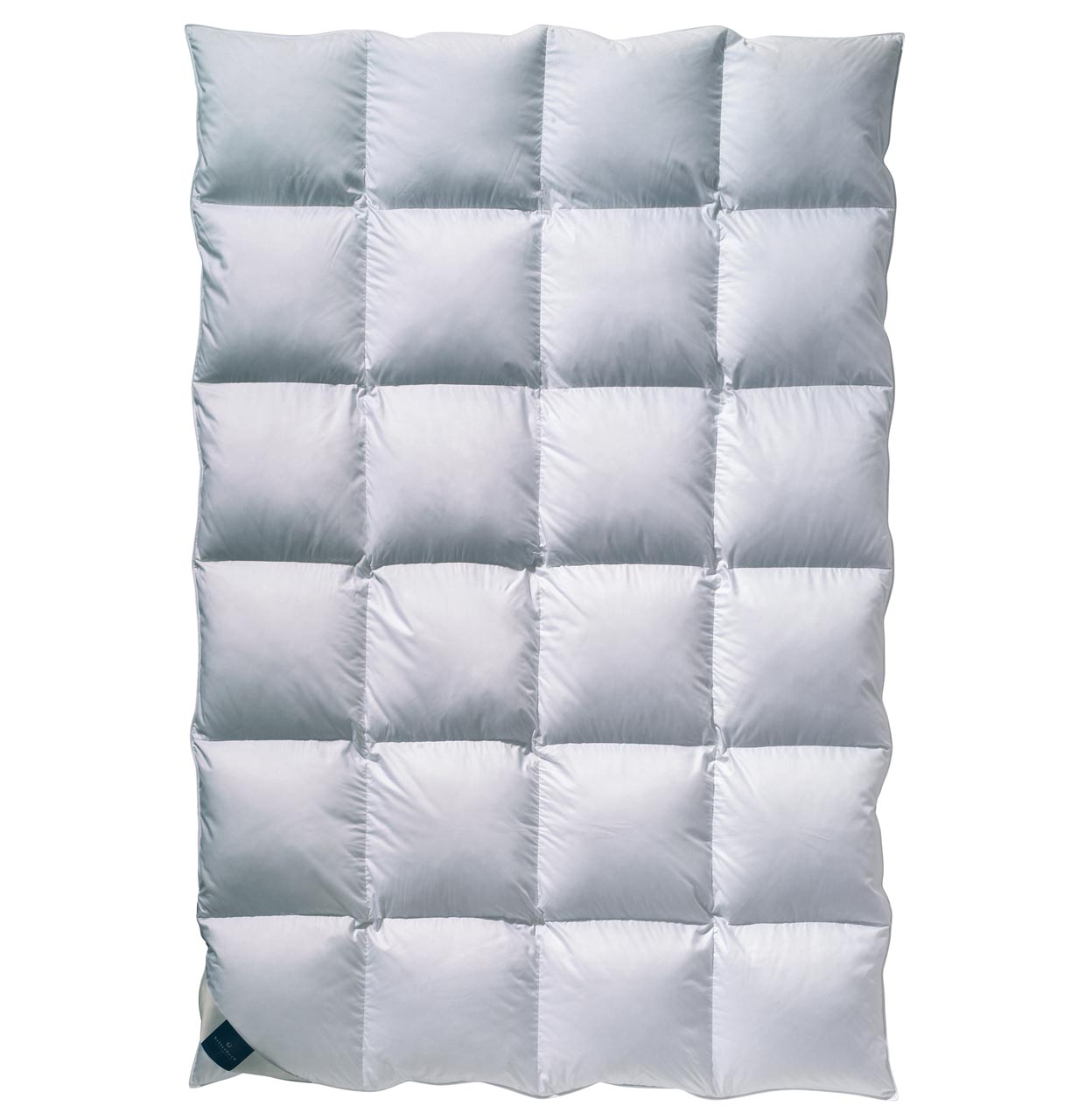 billerbeck Bettdecke Daunendecke Catalina in Größe 135x200 cm, Wärmestufe warm, gesteppte Decke in Weiß
