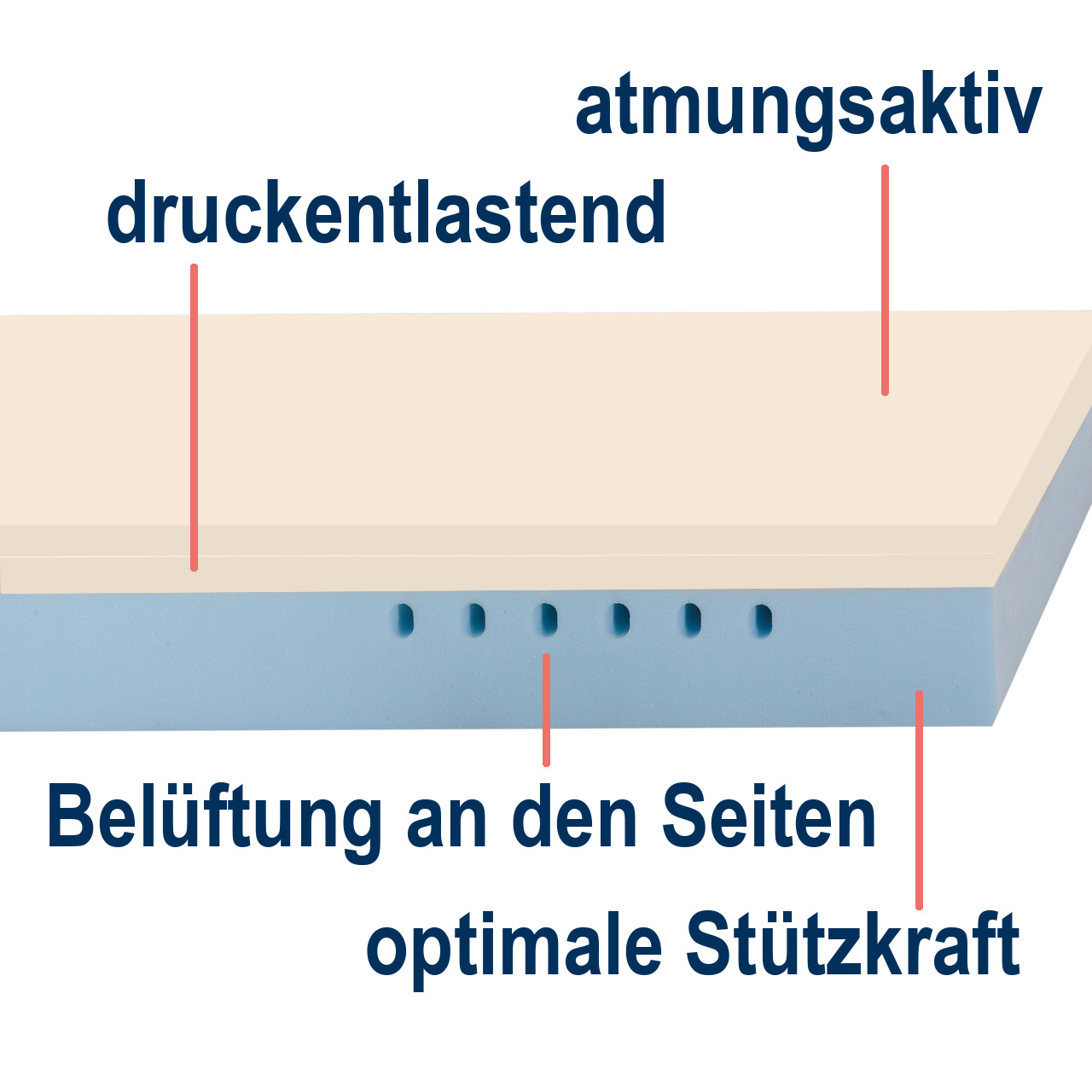 Memoryschaum-Matratze HERMINE® Alleskönner - 80 x 200 cm H3 22 cm