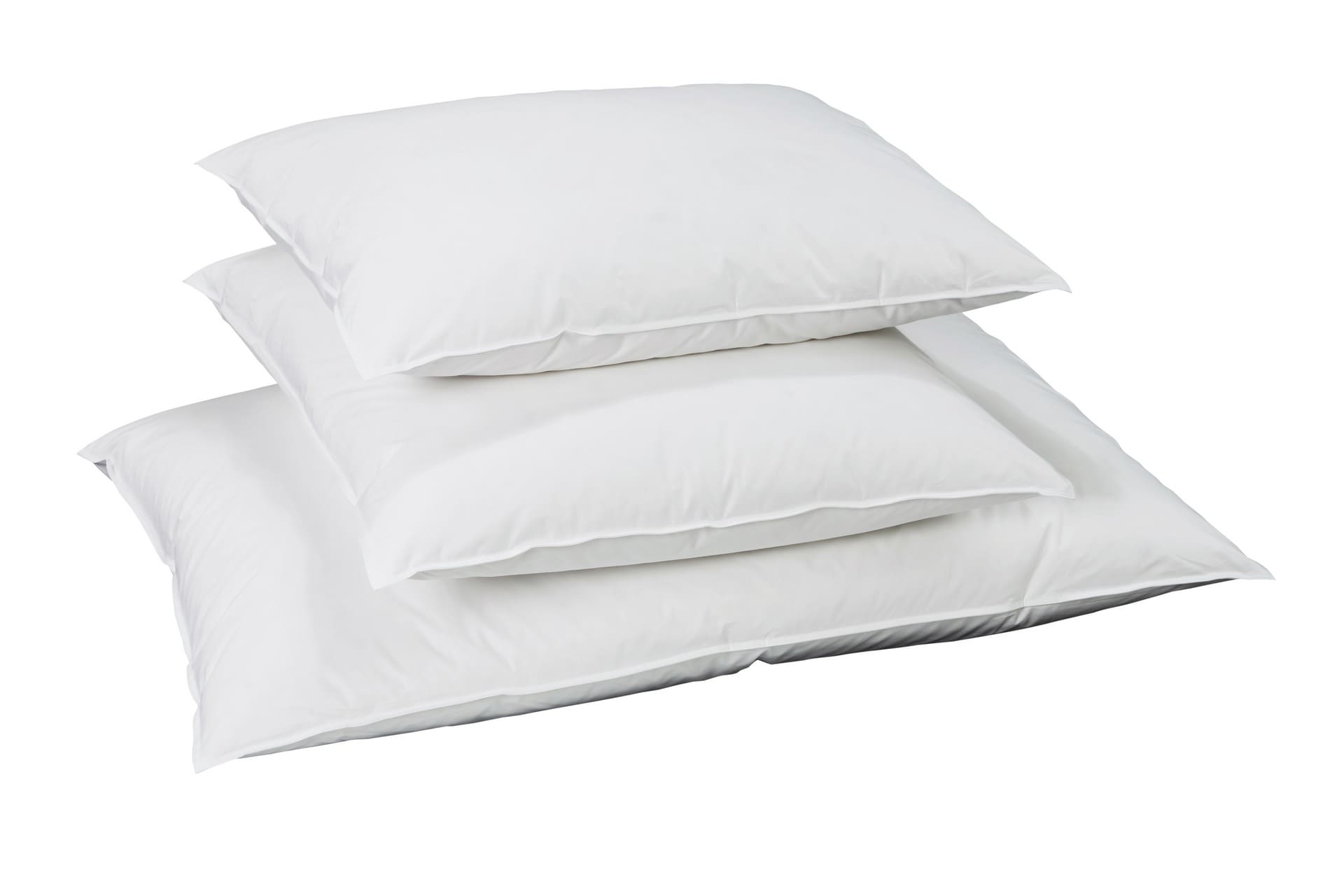 billerbeck-edition-oreiller-oreiller-en-duvet-reve-down-basic-spécial.jpg