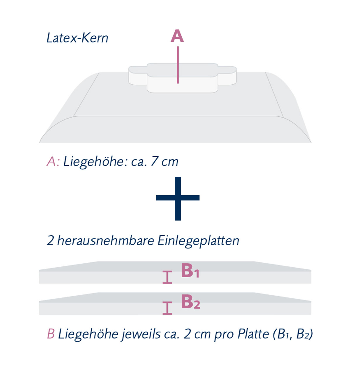 Schematic view of the height of the individual layers of the core of the Belair neck support pillow from billerbeck