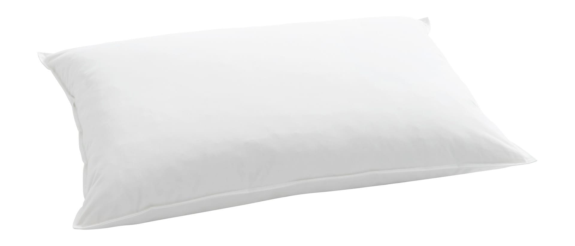 billerbeck-kissen-daunenkissen-standard-250_rechteckig