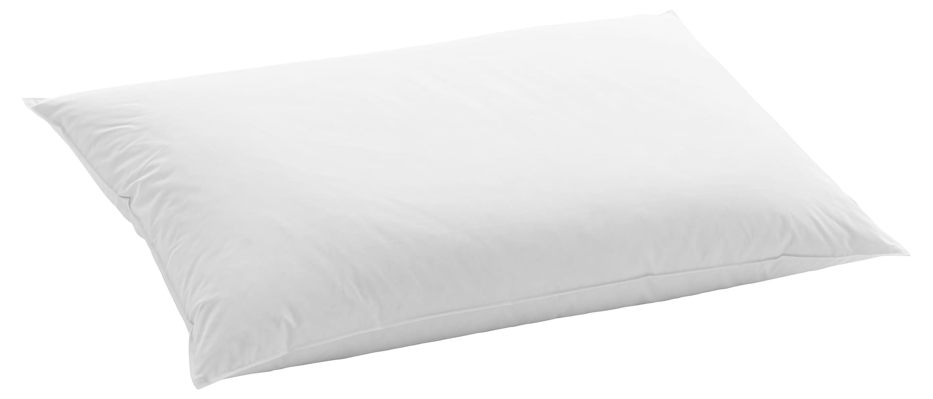 dauny-kissen-daunenkissen-extrasoft_65x100