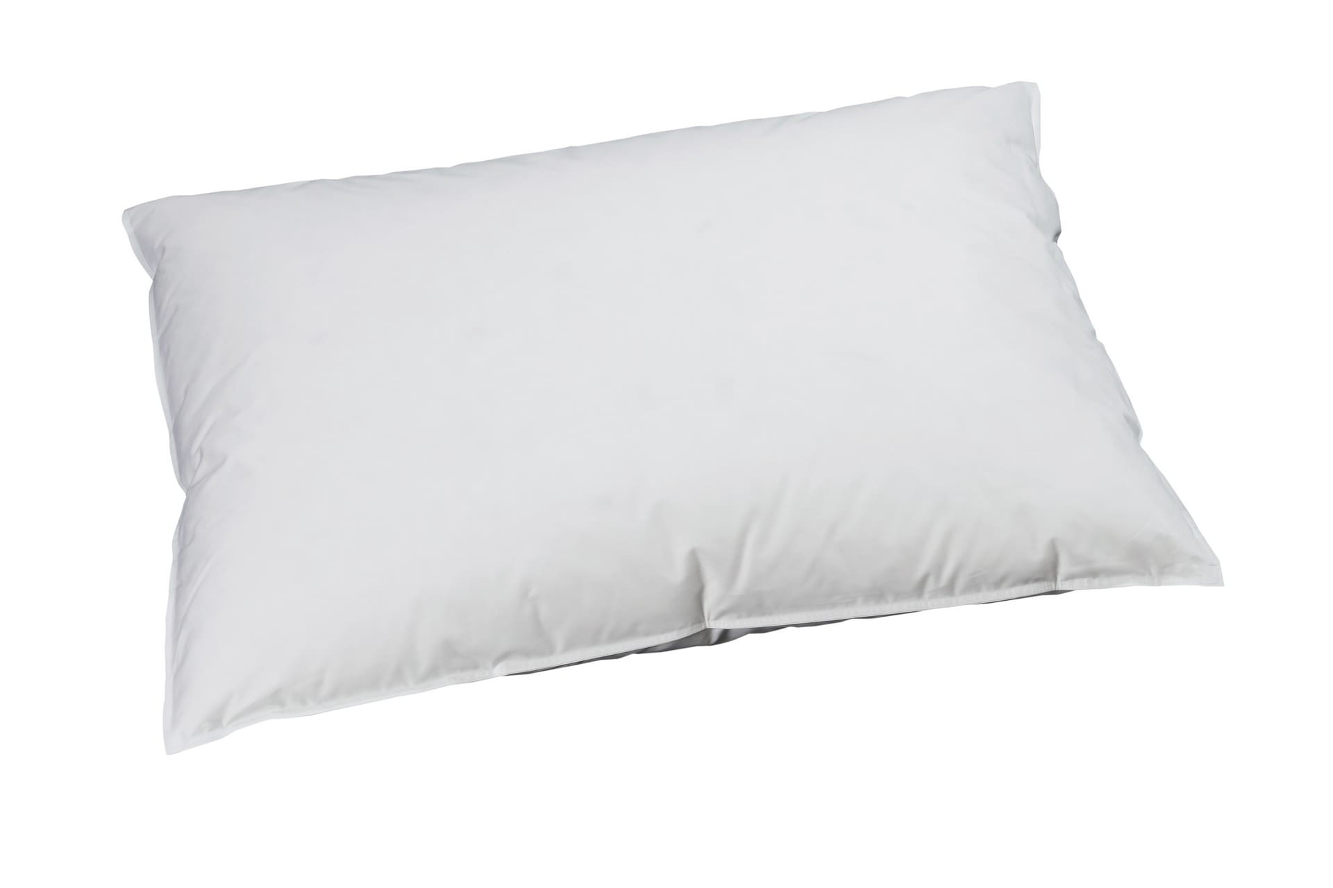 billerbeck-edition-oreiller-oreiller-en-duvet-reve-down-basic-50x70.jpg