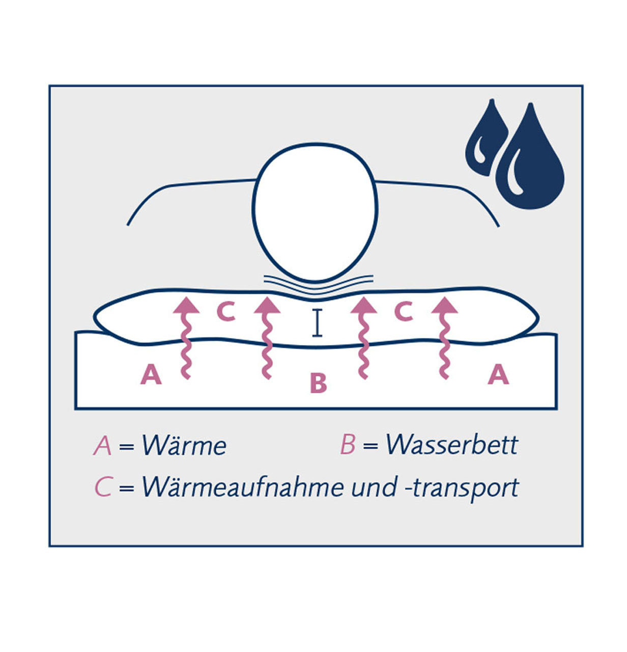 Schematische Darstellung der Wärmeaufnahme und -transport des Nackenstützkissens Variolux