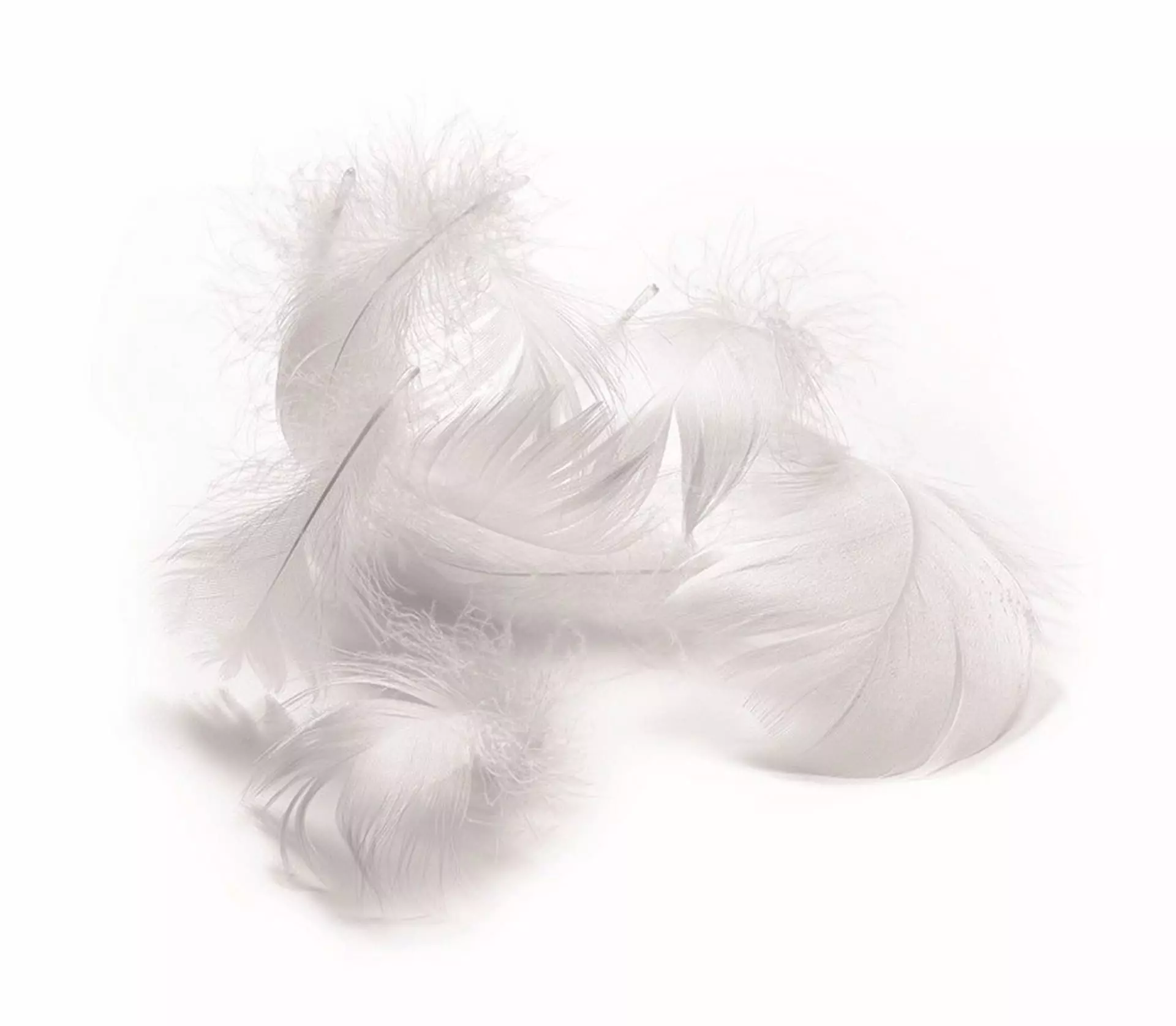 billerbeck-zubehoer-nachfuellbeutel-piuma_material