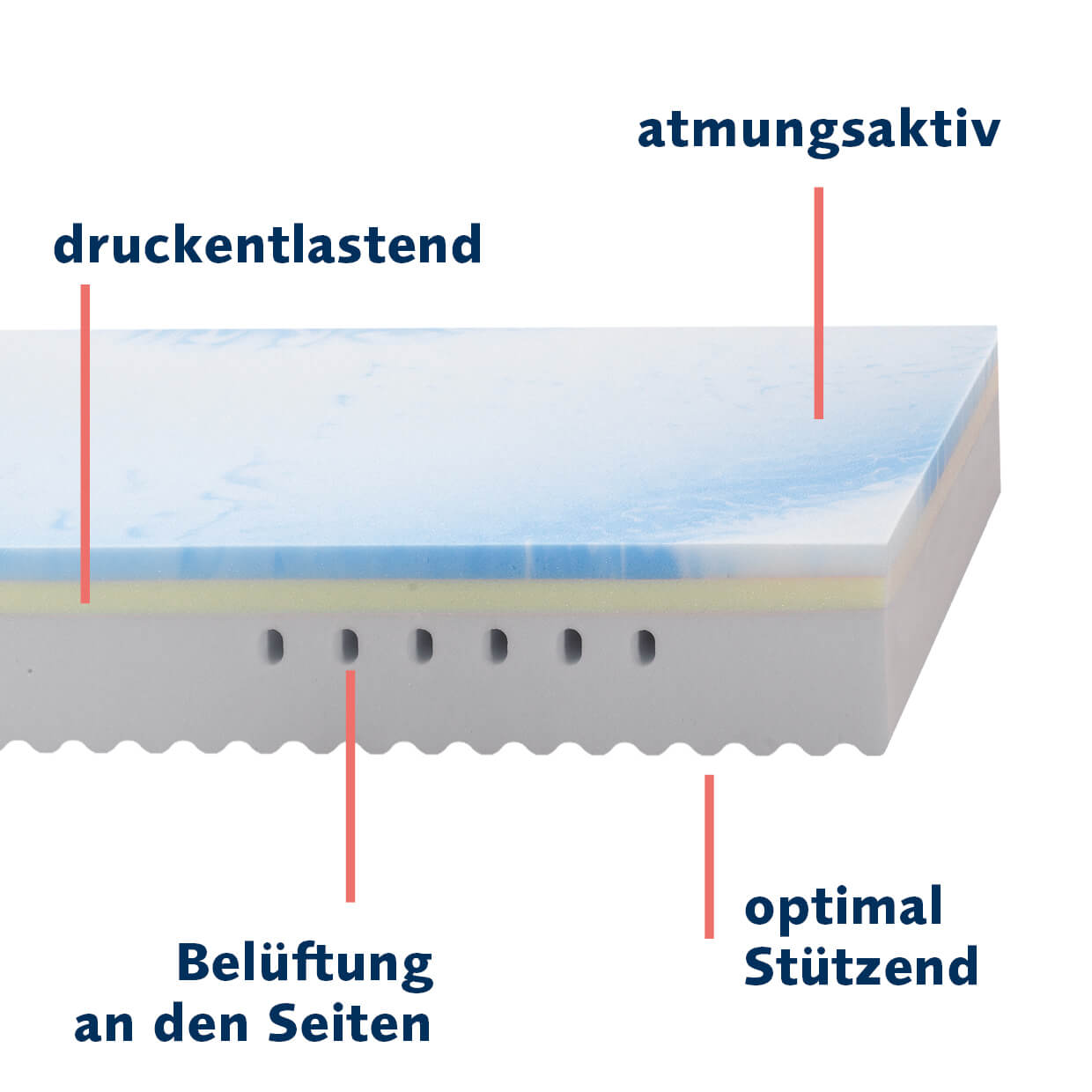 Cross-section of the HERMINE mattress from billerbeck - pressure-relieving, breathable, optimum support